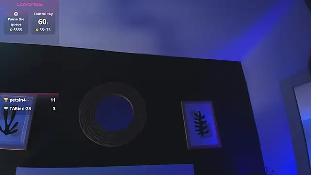 VioletPaket webcam