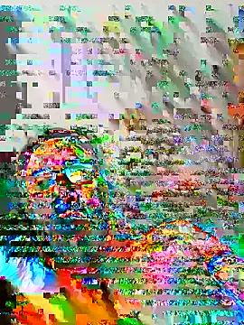 Tiojhonny webcam