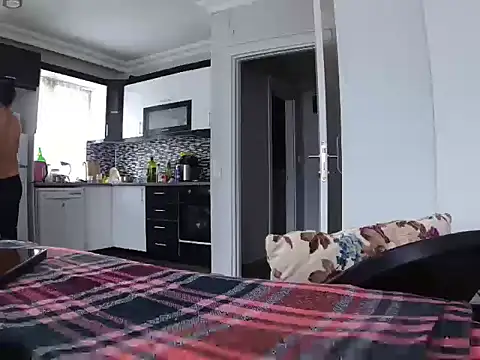 ALPHANDRE webcam