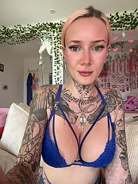 Stella-Kink webcam
