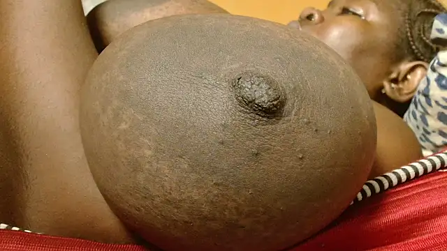 titi_fiesta webcam