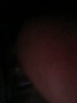 tomtit123 webcam