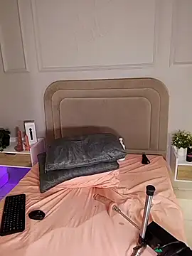 Liastarkk webcam