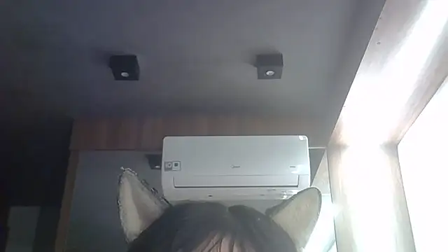 SkinnyKitten webcam