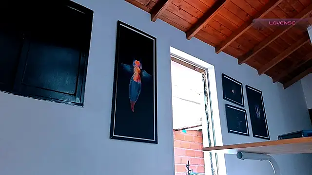 SilvaBranko webcam