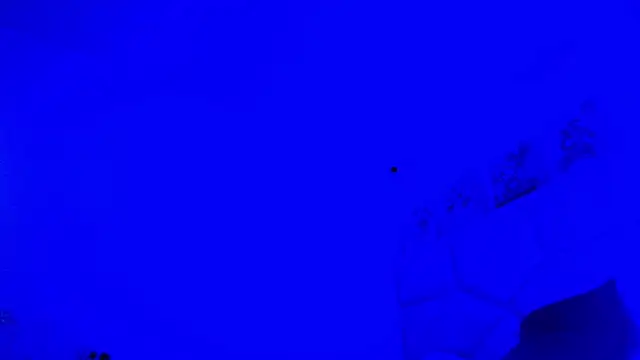 elizawiliamst webcam