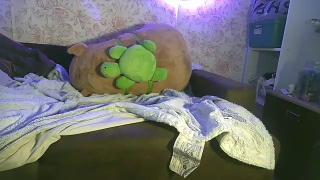 Lepimentsurpattes webcam