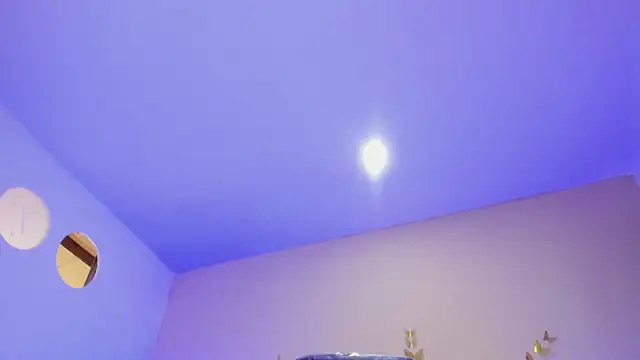 Nascary_Fox webcam