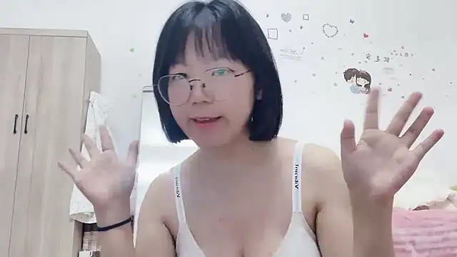 Belle-LL webcam