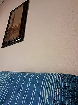 Sony28v webcam