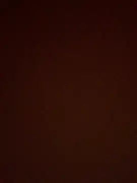 Sexgame69