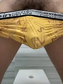 chinsemechan webcam