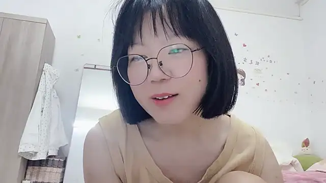 Belle-LL webcam