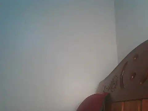 Logon20 webcam