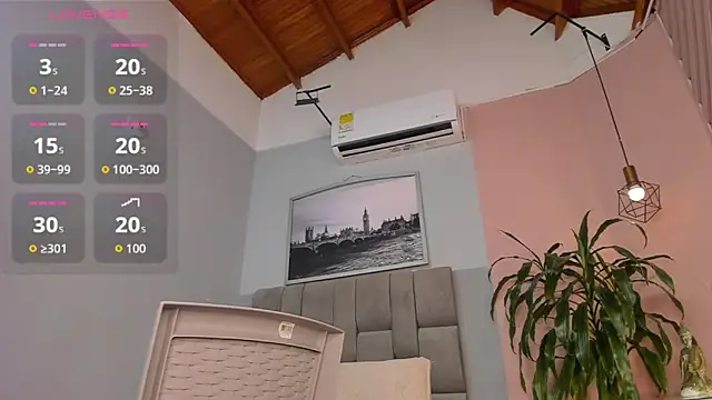 dyvis_22 webcam