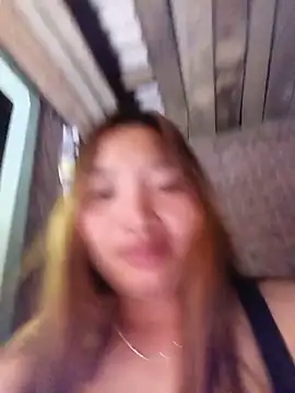 cat-kat webcam