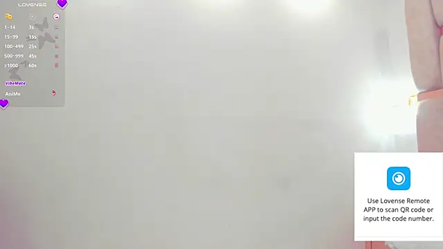 lady_boox webcam