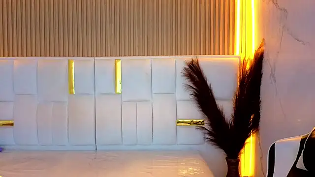 cony_tp webcam
