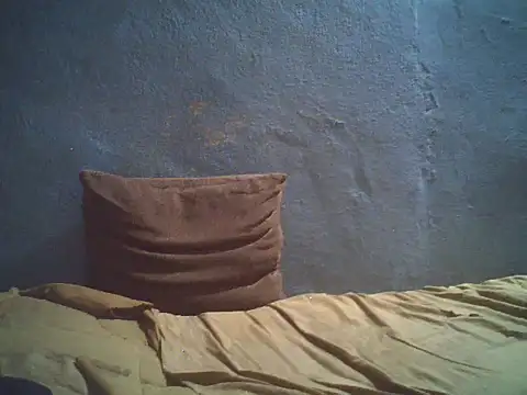 little__joy webcam