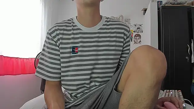 SonSett webcam