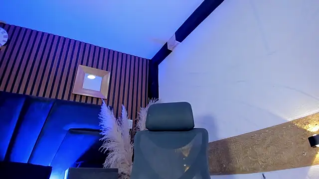 3x_naxa webcam