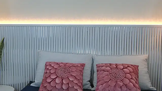 JonesDiaz webcam