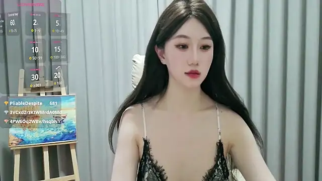 LUNYI-CC webcam