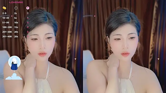 Vaidurya-Yolo webcam