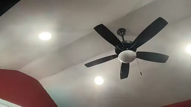 bossdj2025 webcam