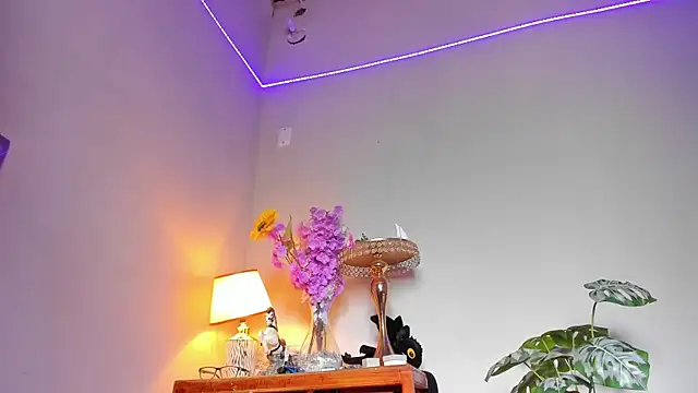 lucian_davii webcam
