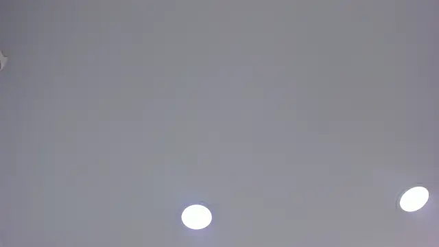 Vexoryn webcam