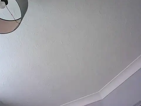handyandyhandy webcam