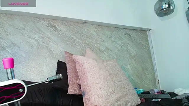 Dixie_grey1 webcam