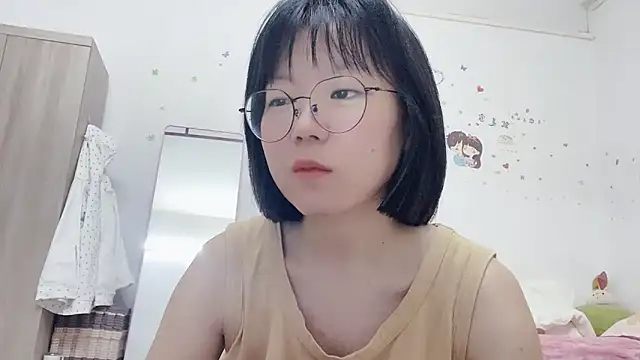Belle-LL webcam