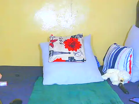 White_Ferrari webcam