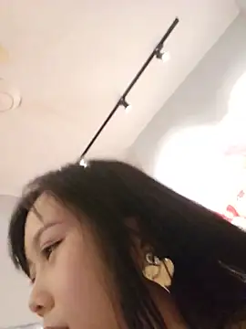 lirz06 webcam