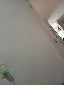 Leao webcam