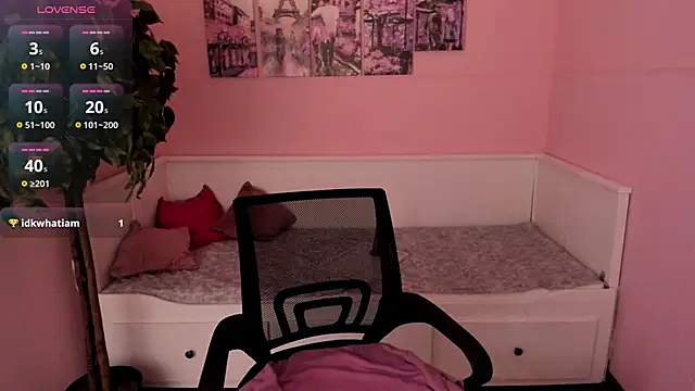 Inari_Okami_ webcam