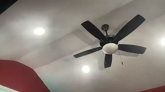 bossdj2025 webcam