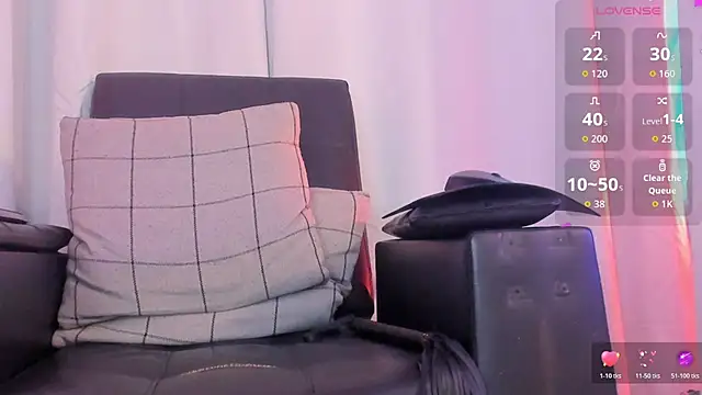Jaadewest webcam