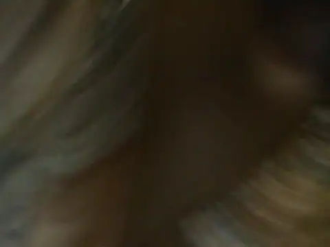 crazypervet webcam
