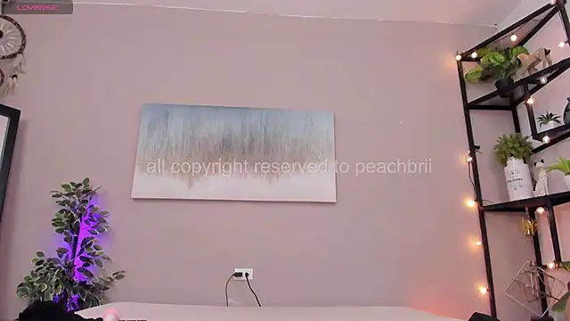 PechBri webcam