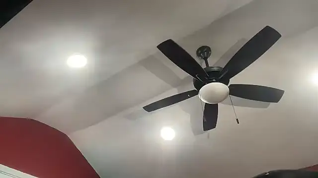 bossdj2025 webcam