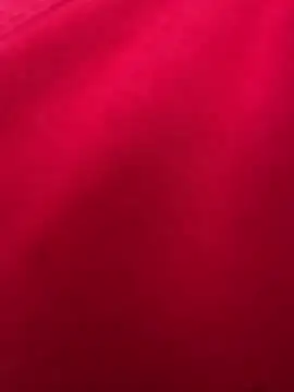 Sasha-firee webcam