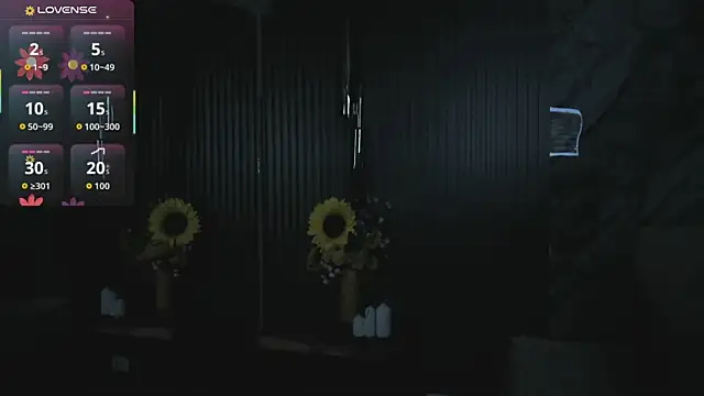 hanna_steel