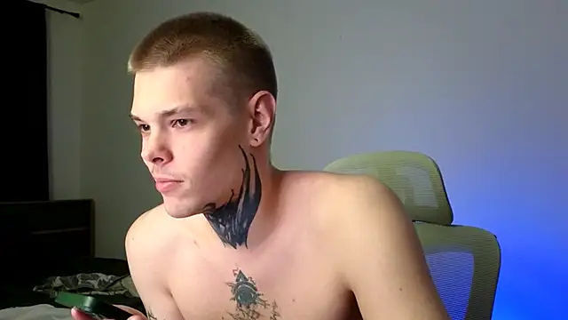 DENIS_HERE webcam