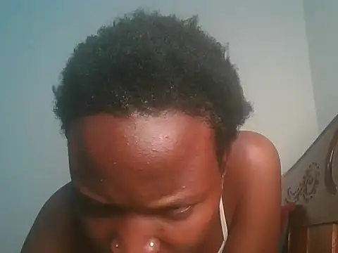 Logon20 webcam