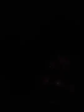 shinecore webcam