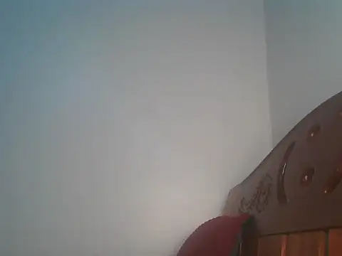 Logon20 webcam