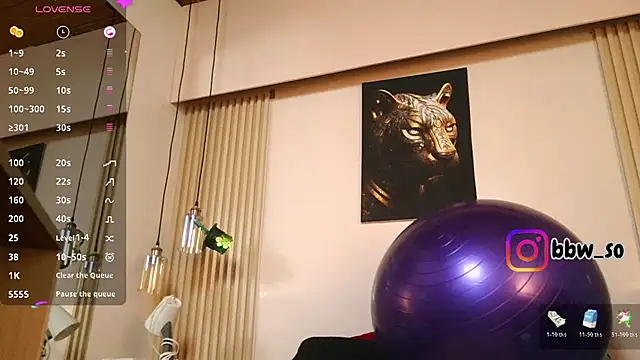 virtual_charm webcam